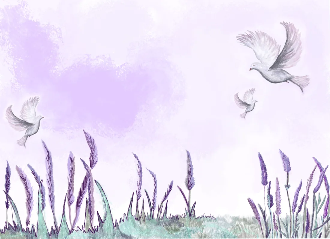 Children's book illustration by Liss Ampuero: three white doves flying over a field of purple lavender under a pale lilac sky.